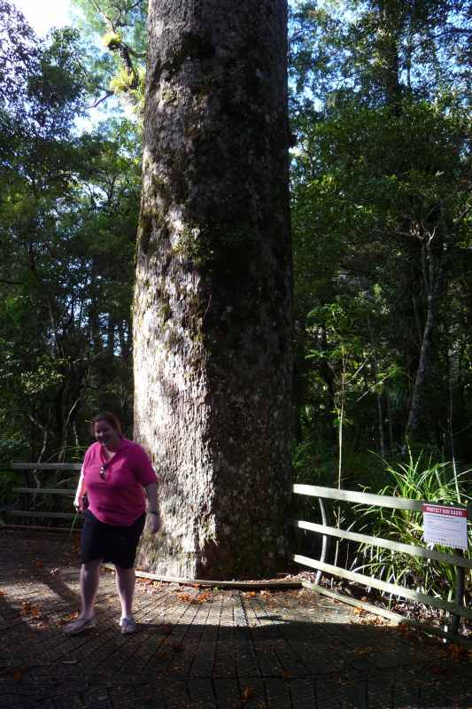 Nieuw-Zeeland 2011 - 0273